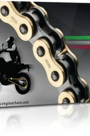 Origineel REGINA - 520 135 ZRE 106L G&B - Chains - Adventure